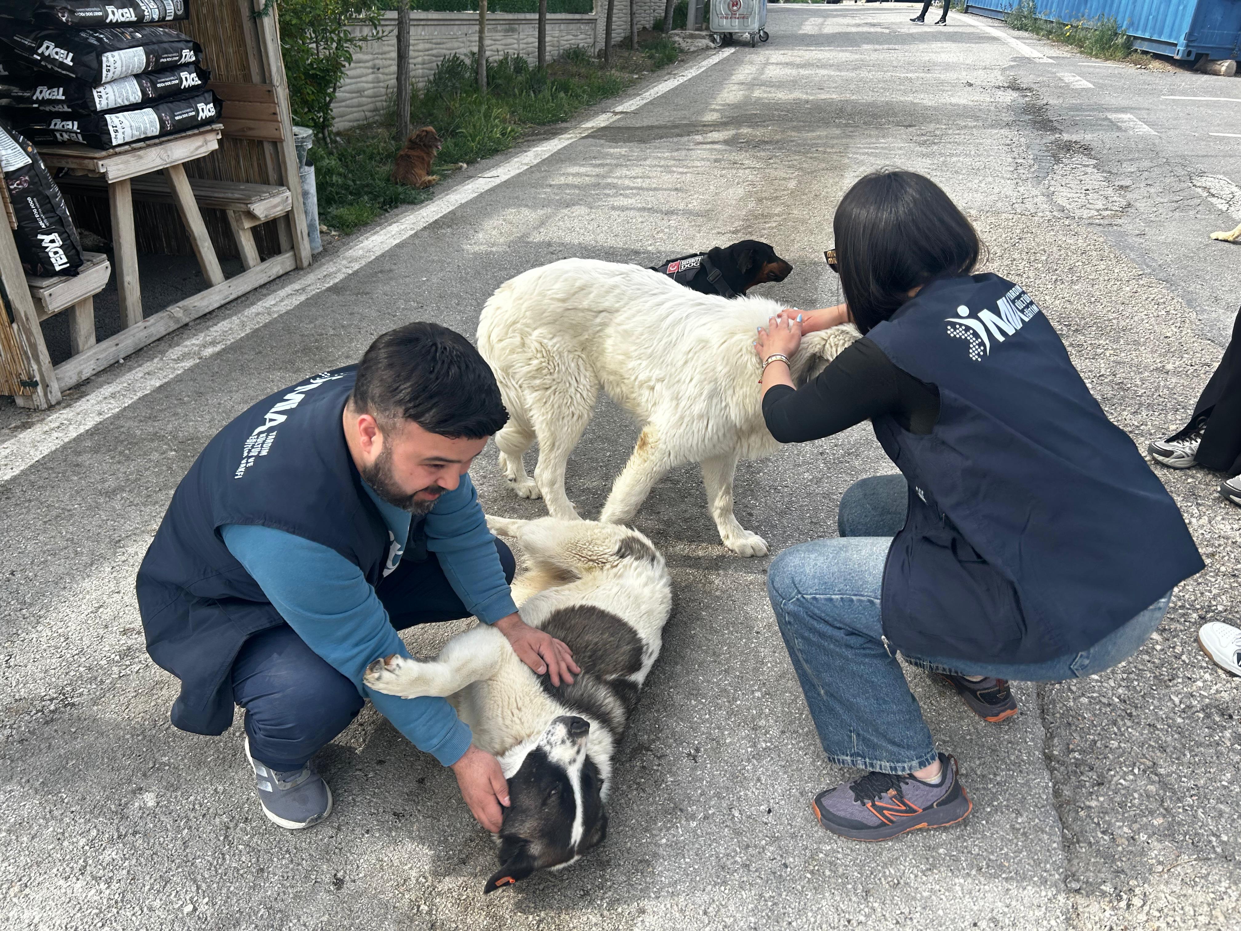 Patili Dostlarımızı Ziyaret - 4
